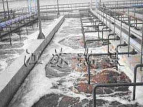 科技賦能，碧水新生 環保設備領域污水處理最新成果展示